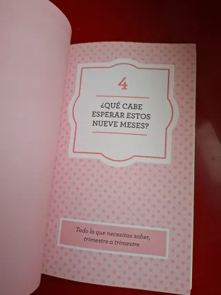 Libro ¡Voy a ser mamá! ¿Y ahora qué?