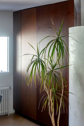 Piso en alquiler en Guindalera en Madrid