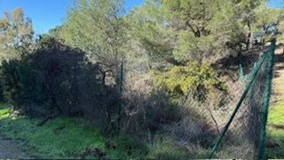 Terreno en venta en Santa Maria de Trassierra en Córdoba