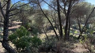 Terreno en venta en Santa Maria de Trassierra en Córdoba