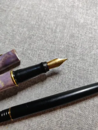 Penne stilografiche Waterman