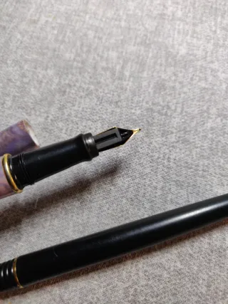 Penne stilografiche Waterman