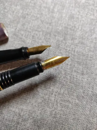 Penne stilografiche Waterman