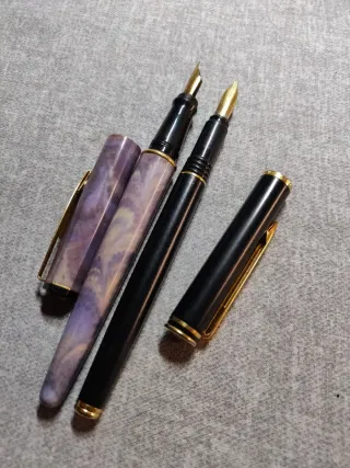 Penne stilografiche Waterman