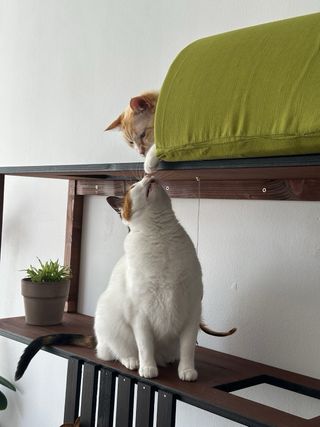 Estantería Gatos Madera Hecha a Mano