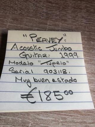 Guitarra Acústica Peavey