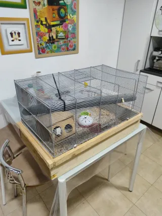 Jaula grande para roedores