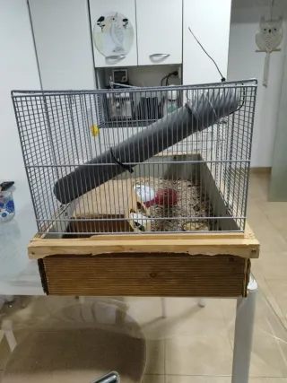 Jaula grande para roedores