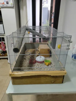 Jaula grande para roedores