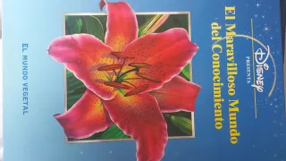 Libros de Disney. Mundo de conocimiento