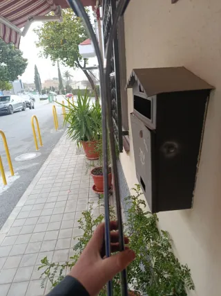 Esquís Head Carve y Botas