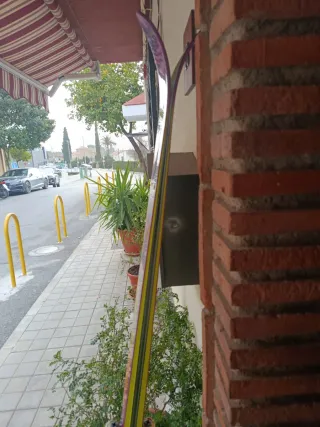 Esquís Morados KASTLE