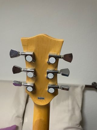 Guitarra Eléctrica Estilo Les Paul