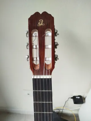 Guitarra Española Clásica admira paloma