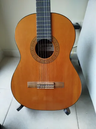Guitarra Española Clásica admira paloma