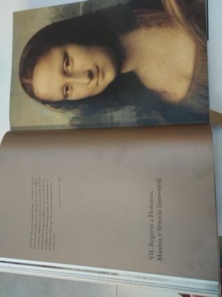 Libro obra pictórica Leonardo da vinci