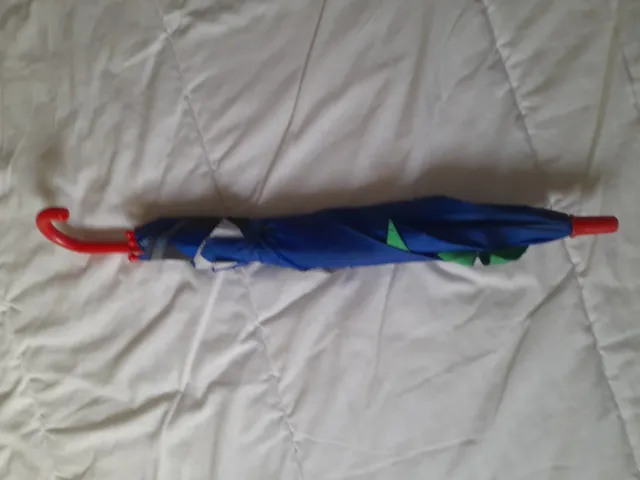 Chaleco Dinosaurio Infantil y paraguas