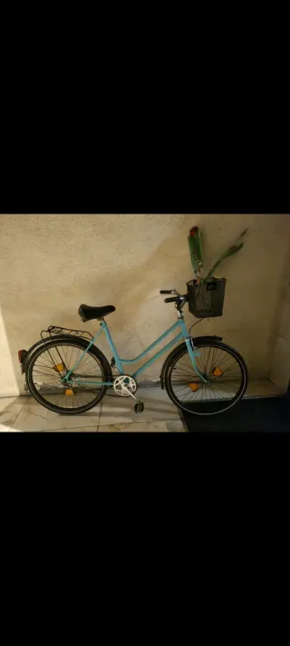 Bicicleta de paseo