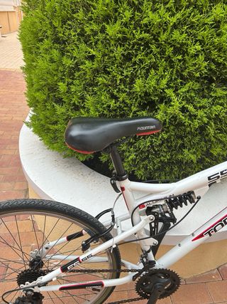 Bicicleta de Montaña