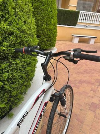 Bicicleta de Montaña