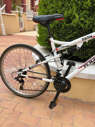 Bicicleta de Montaña