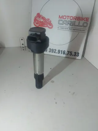 Bobina Accensione BMW F 900 R/XR/GS