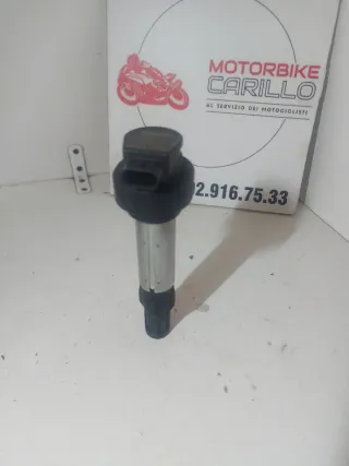 Bobina Accensione BMW F 900 R/XR/GS
