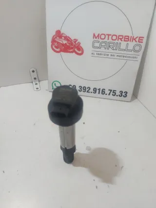 Bobina Accensione BMW F 900 R/XR/GS