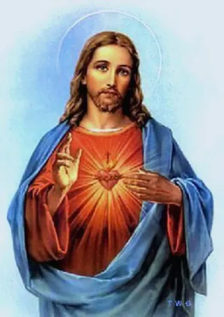 Ofrezco mis servicios como canguro