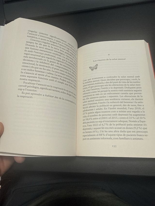 El pont on habiten les papallones