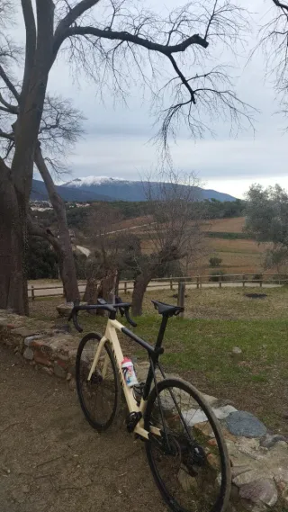 Canyon Ultimate CF SL 7 AXS Talla M