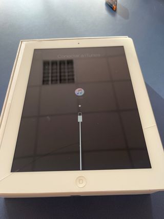 iPad Wifi y Celular Blanco