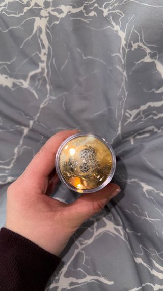 Bruma Ameerat Al Arab Dubai Flower