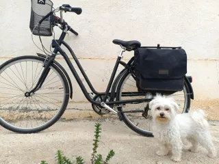 Bicicleta Eléctrica Btwin Elops Negra