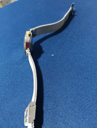 FERRE MILANO Reloj Dorado y Plateado