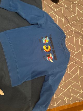 Lote 4 sudaderas OVS Talla 5-6 años
