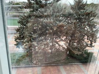 Territorio para conquistar