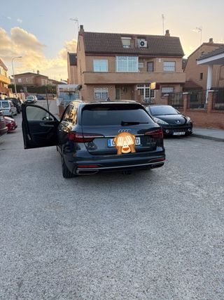 Audi A4 2020