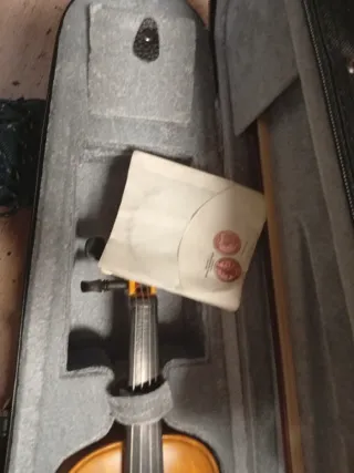 Violín para principiantes con funda y arco