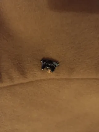 Giacca Mimi Muá Firenze