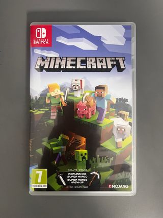 Minecraft Nintendo Switch