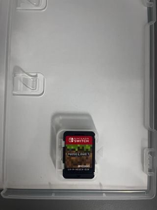 Minecraft Nintendo Switch