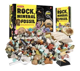 ◆NUEVO PRECINTADO◆ Collezione 300 o 250 minerali