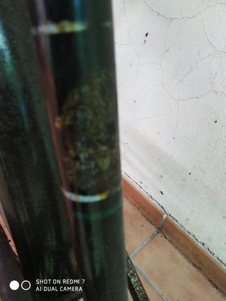 Bicicleta varillas stark de 650