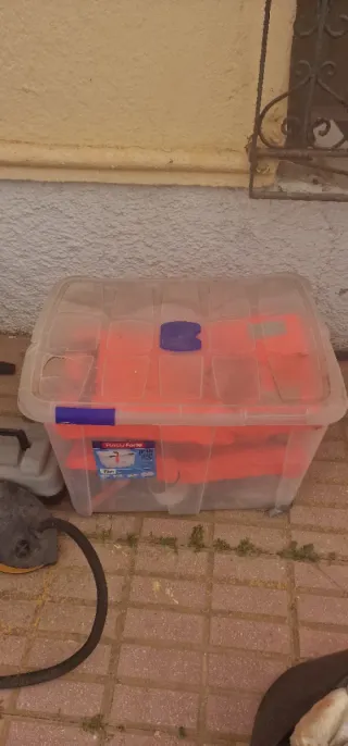 Zodiac Zun 310 con 2 motores 6CV