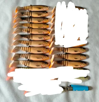 Vinilos pesca siluro y lucio