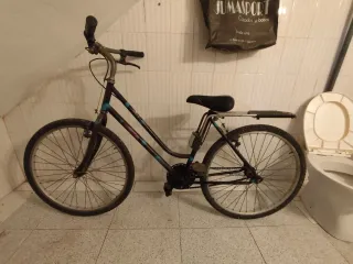 Bicicleta de paseo