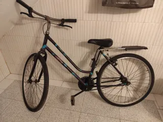 Bicicleta de paseo