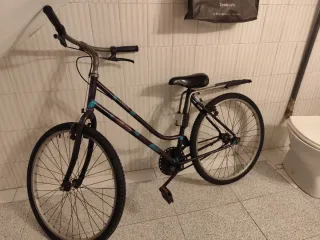 Bicicleta de paseo