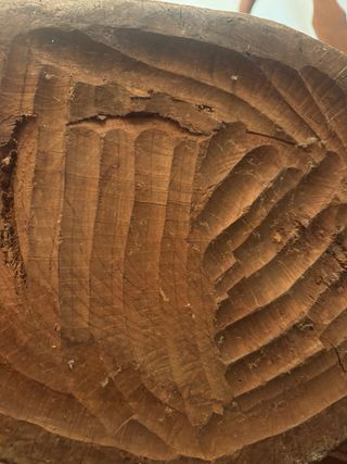 Escultura madera cazador con ciervo de 110 cm